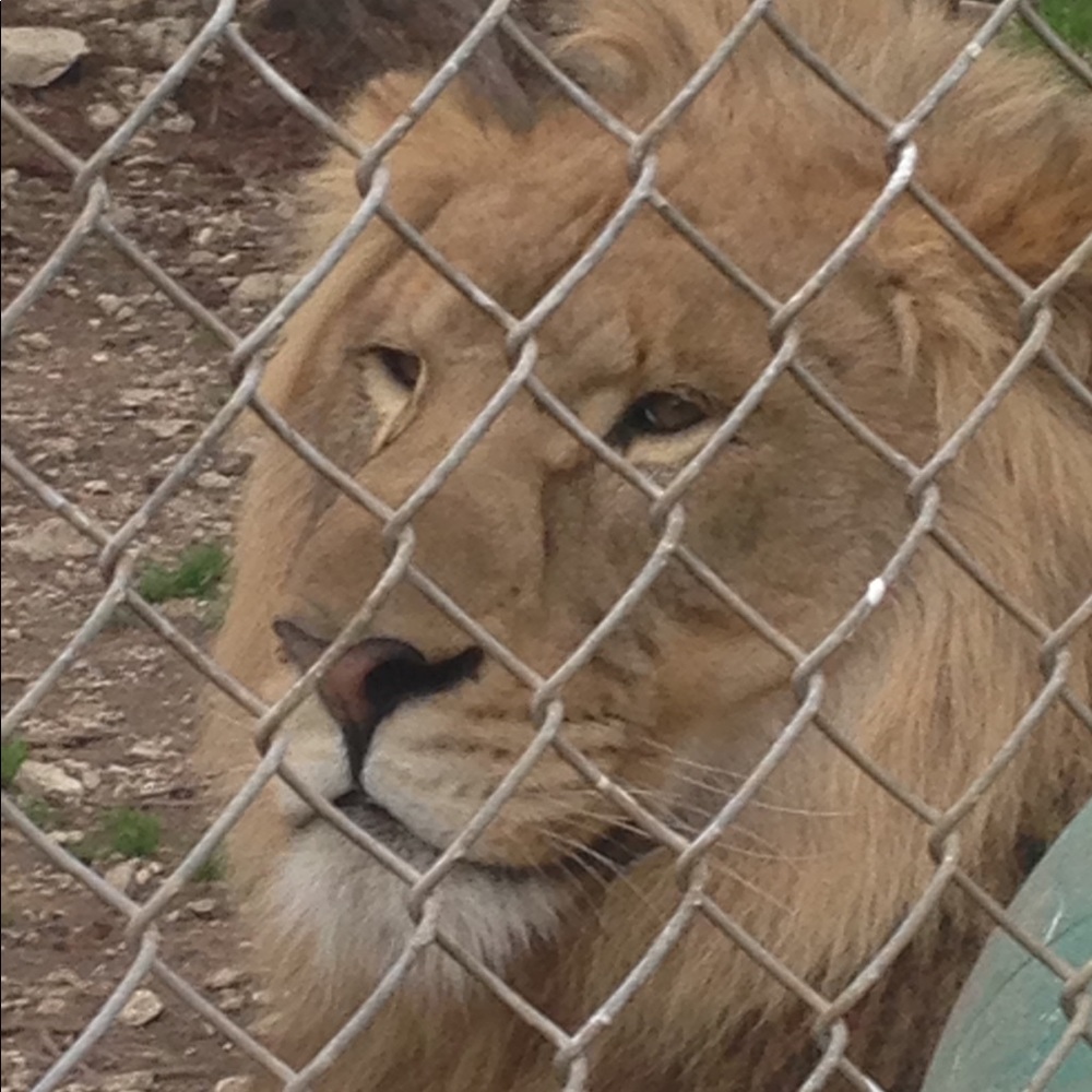 Meet your Posher, Andria